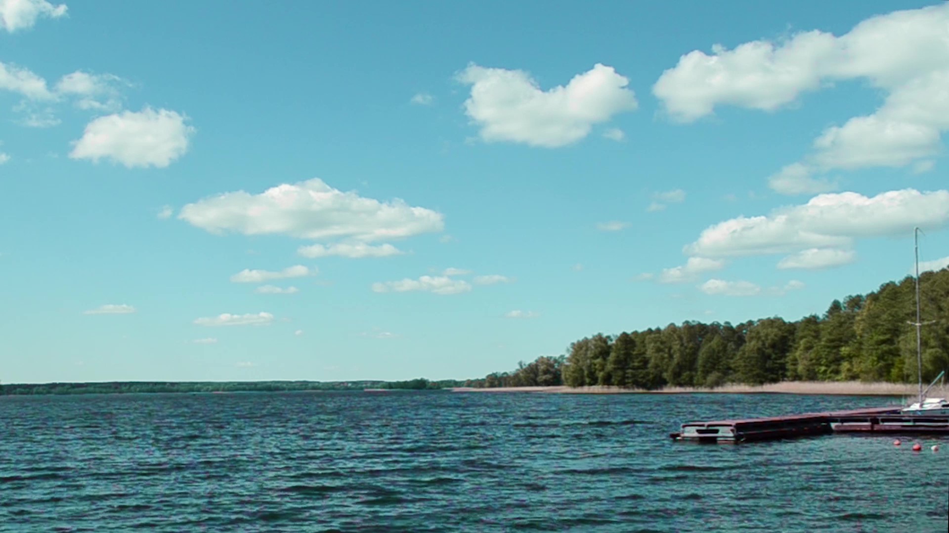 Zakład Uboju Bydła Biskupiec — produkcja wołowiny wysokiej jakości